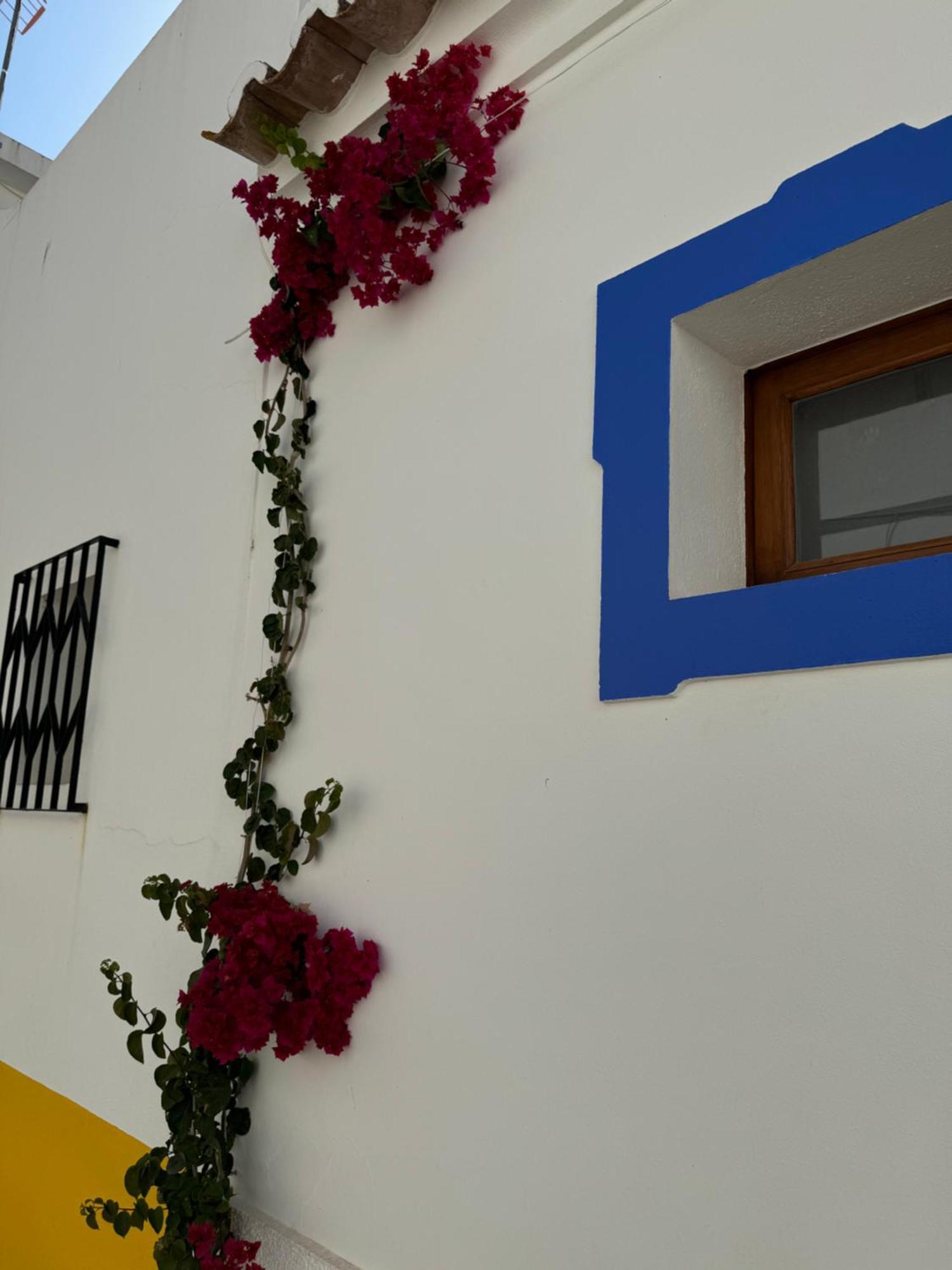 A Casinha Holiday home *